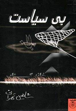 بی‌سیاست (مجموعه داستان