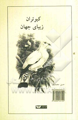 کبوتران زیبای جهان