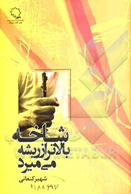 شاخه بالاتر از ریشه می‌میرد