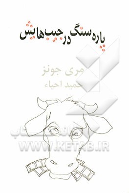 پاره‌سنگ در جیب‌هایش [نمایشنامه