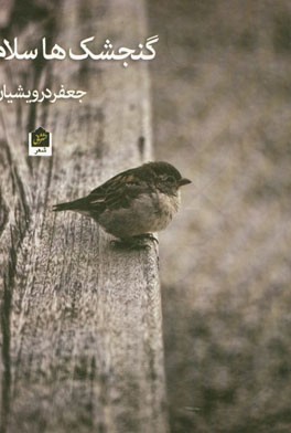 گنجشک‌ها! ... سلام