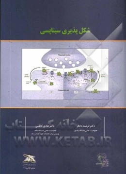 شکل‌پذیری سیناپسی