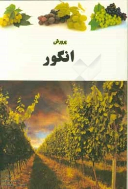 پرورش انگور