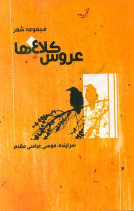 عروس کلاغ‌ها