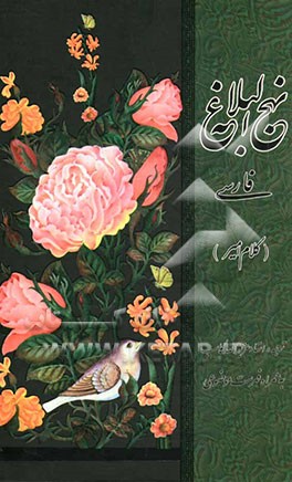 نهج البلاغه: کلام امیر (ع