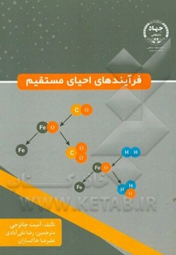 فرآیندهای احیای مستقیم