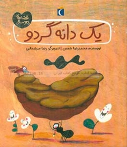 یک دانه گردو