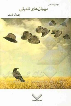 مهمان‌های نامرئی: مجموعه شعر