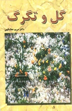 گل و تگرگ