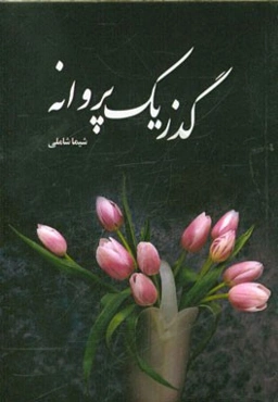 گذر یک پروانه