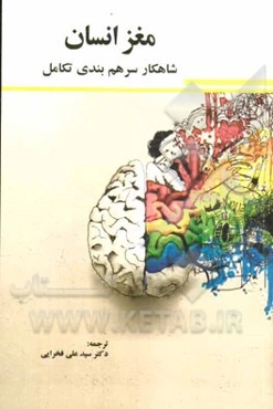 مغز انسان: شاهکار سرهم‌بندی تکامل