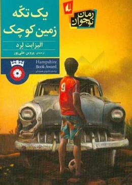 یک تکه زمین کوچک