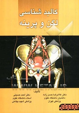 کالبدشناسی لگن و پرینه