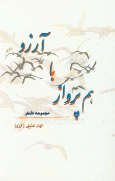 هم پرواز با آرزو