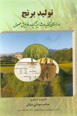 تولید برنج: در راستای تغذیه و رشد بهینه گیاه و افزایش محصول