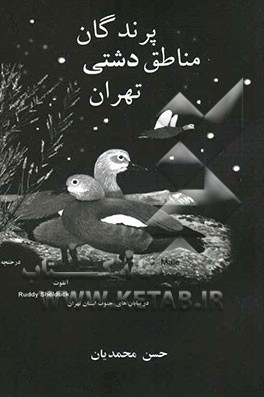 پرندگان مناطق دشتی تهران