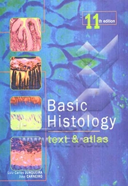 Basic histology: text & atlas 2005