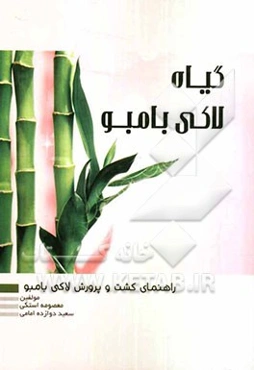 راهنمای کشت و پرورش لاکی بامبو