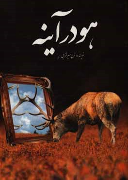 هو در آینه
