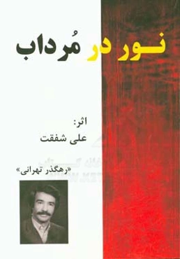 نور در مرداب: دیوان اول (دوبیتی)