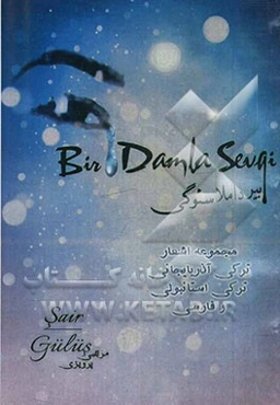 بیر داملا سئوگی