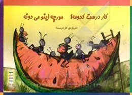 کار درست کدومه؟ مورچه اینو می‌دونه (درباره‌ی کار درست)