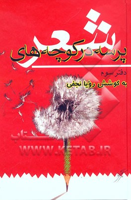 پرسه در کوچه های شعر