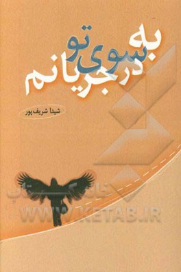 به سوی تو در جریانم