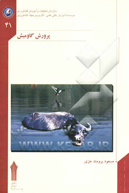 پرورش گاومیش