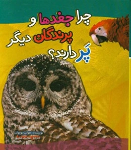 چرا جغدها و پرندگان دیگر پر دارند؟