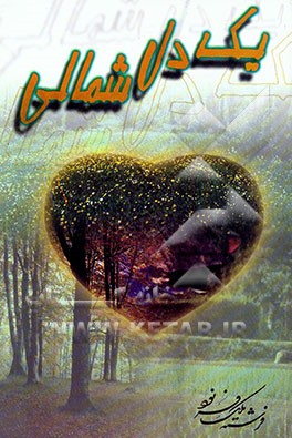 یک دل شمالی