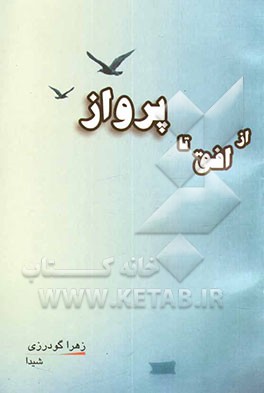 از افق تا پرواز