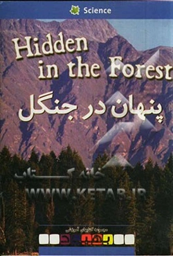 Hidden in the forest