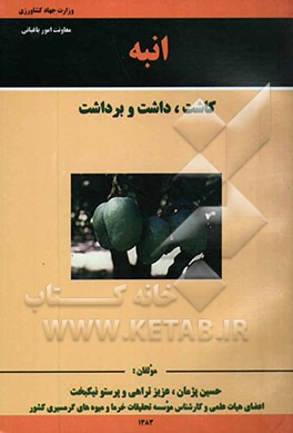 انبه (کاشت، داشت و برداشت