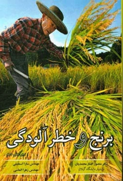 برنج و خطر آلودگی!