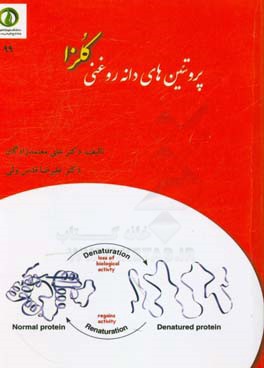 پروتئین‌های دانه روغنی کلزا (روش‌های تولید و ویژگی‌ها)