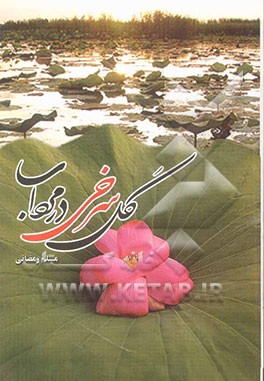 گل سرخی در مرداب (شعر گونه