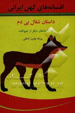 آلوئه‌ورا: گیاه معجزه‌گر هزاره سوم