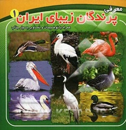 معرفی پرندگان زیبای ایران