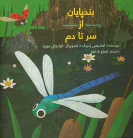 بندپایان از سر تا دم