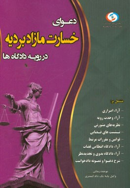 دعوای مطالبه خسارت مازاد بر دیه در رویه دادگاه‌ها