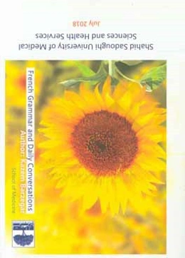 French grammar and daily conversations