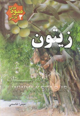 زیتون: میوه‌های قرآنی