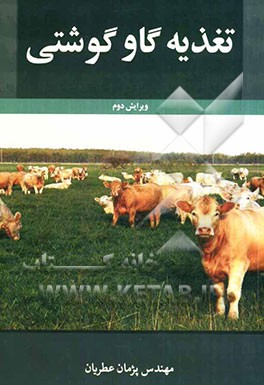 تغذیه گاو گوشتی