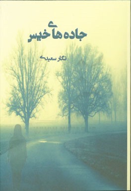 جاده‌های خیس