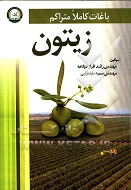 باغات کاملا متراکم زیتون (با نگرشی کاربردی)