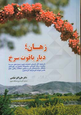زهان، دیار یاقوت سرخ: تاریخچه، آثار تاریخی، امامزاده داوود، نسخ خطی مدرسه جعفریه، ...
