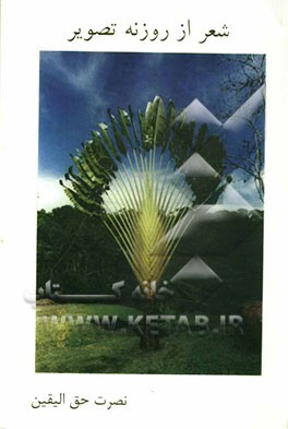 شعر از روزنه تصویر