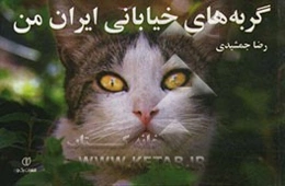 گربه‌های خیابانی ایران من