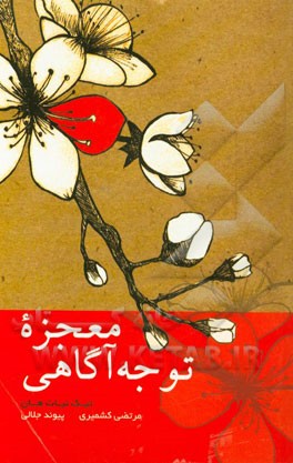 معجزه توجه آگاهی